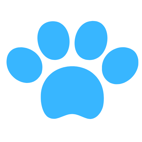 Puppy Socialisation Walks